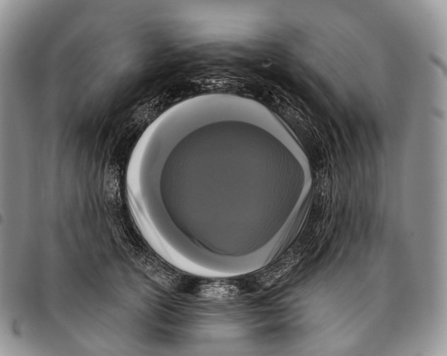 X0000096720754200803041401