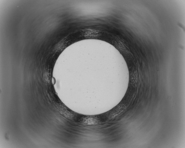 X0000096720755200803041401