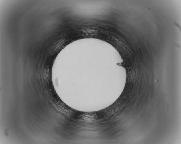 X0000096720756200803041401