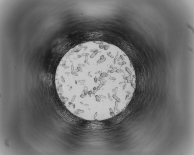 X0000096720758200803041401