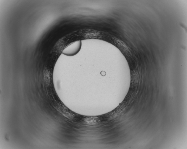 X0000096720761200803041401