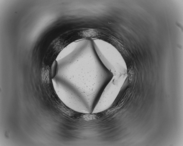 X0000096720762200803041401