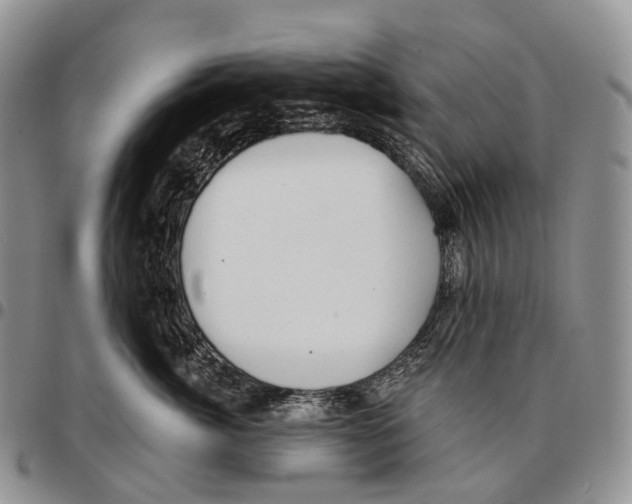 X0000096720764200803041401