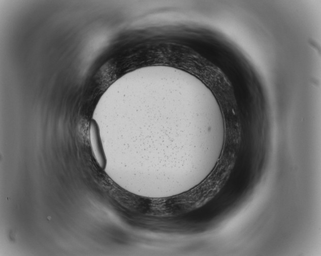 X0000096720766200803041402