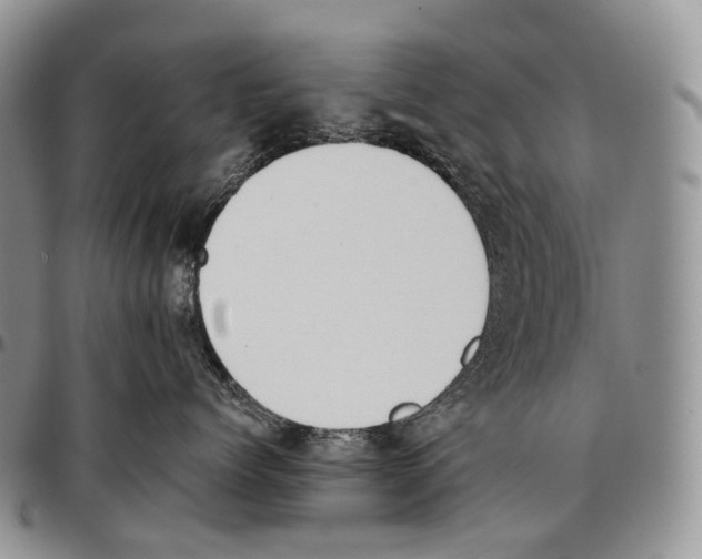 X0000096720768200803041402