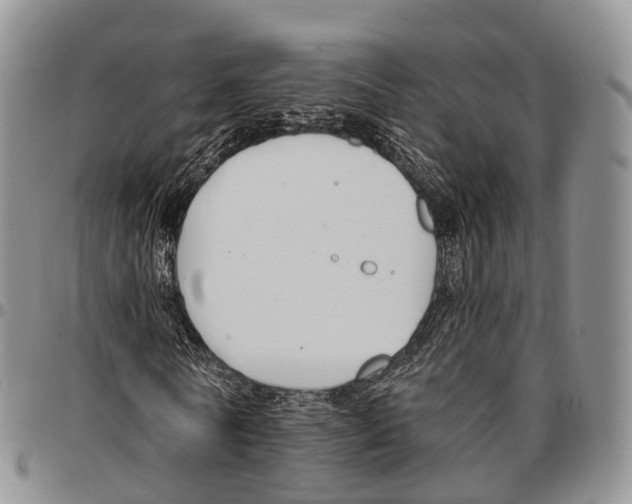 X0000096720770200803041401