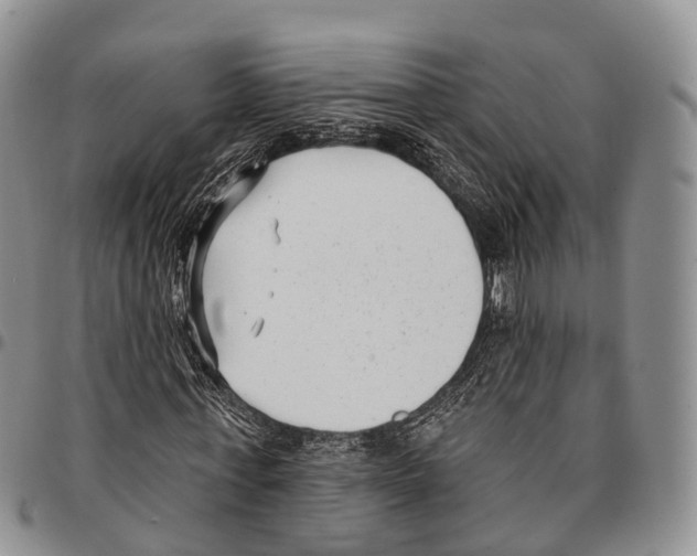 X0000096720771200803041401