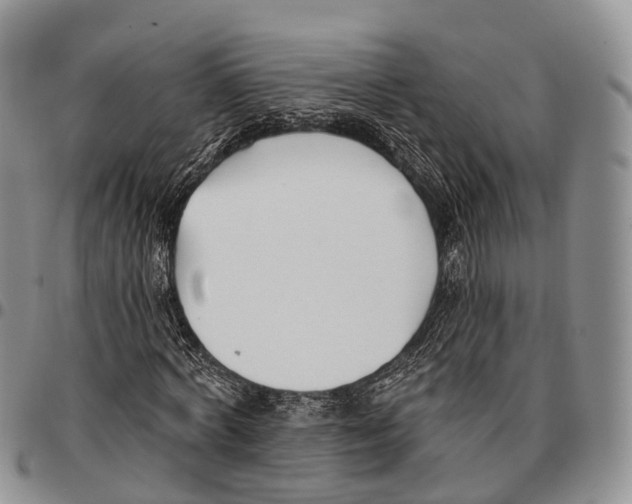 X0000096720772200803041401