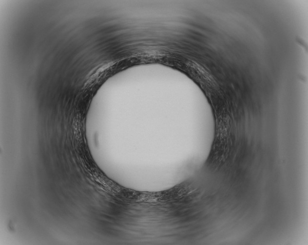 X0000096720773200803041401