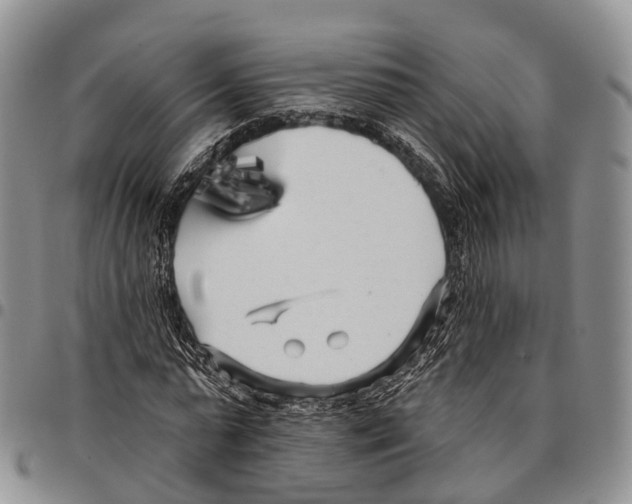 X0000096720775200803041401