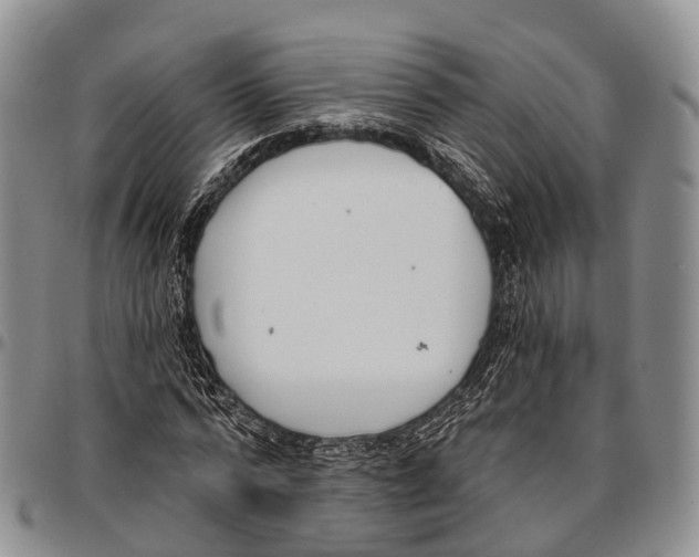 X0000096720776200803041401