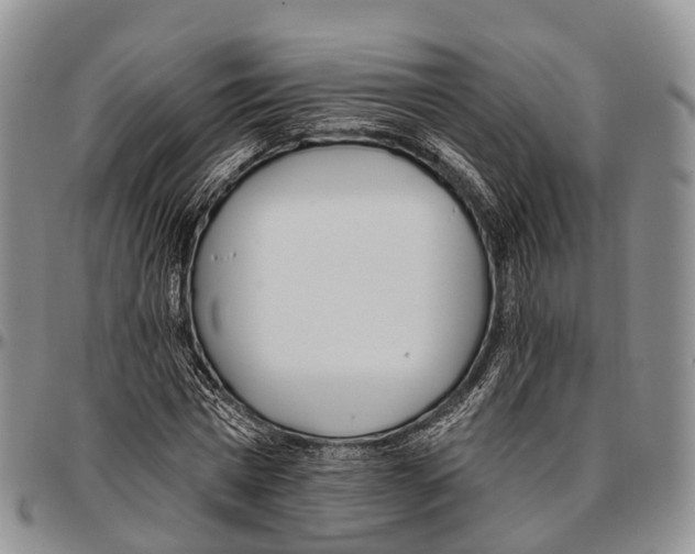 X0000096720777200803041401