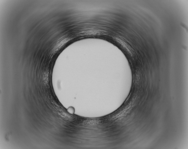 X0000096720778200803041401