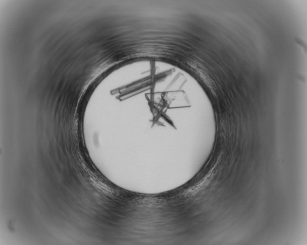 X0000096720779200803041401