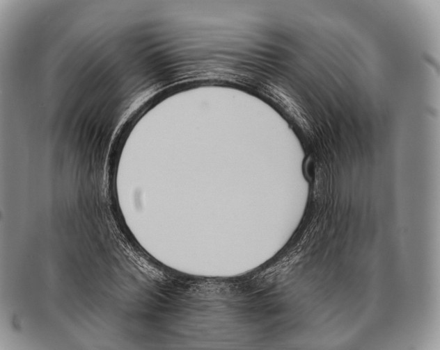 X0000096720780200803041401