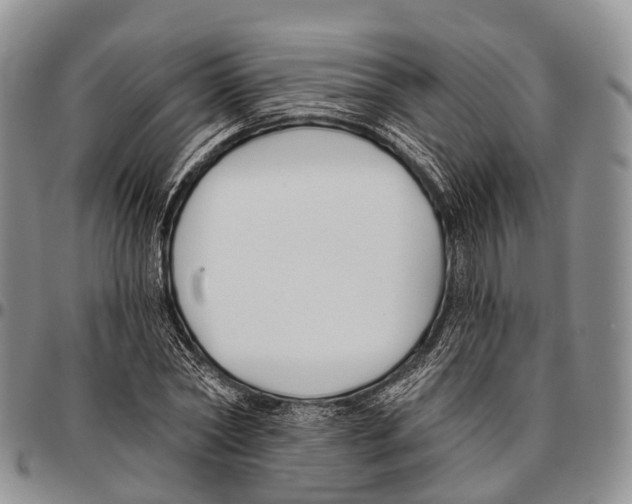 X0000096720782200803041401