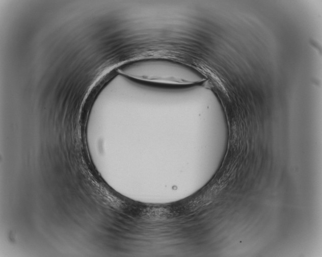 X0000096720784200803041401