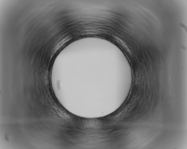 X0000096720786200803041401