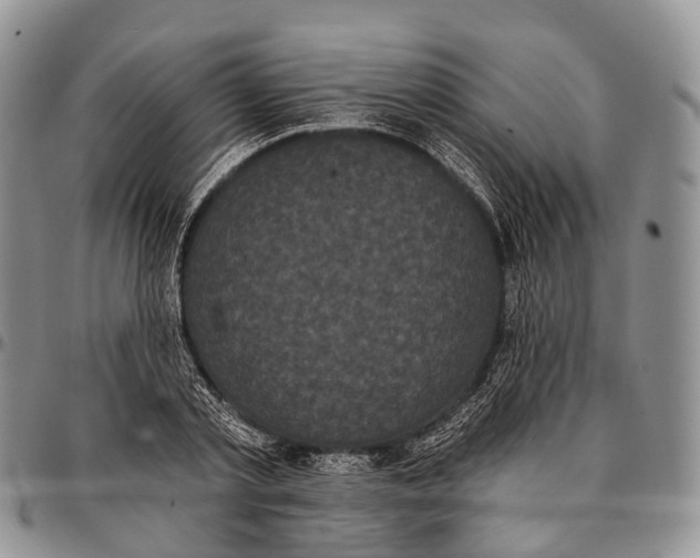 X0000096720789200803041401