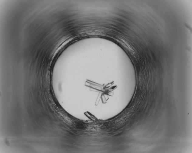 X0000096720790200803041401