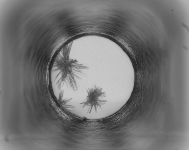 X0000096720791200803041401