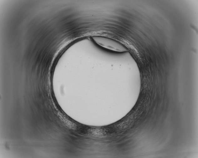 X0000096720792200803041401