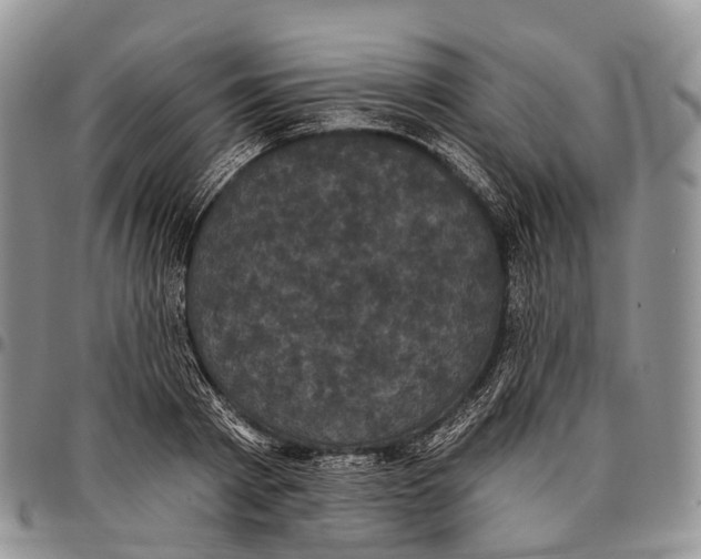 X0000096720793200803041401