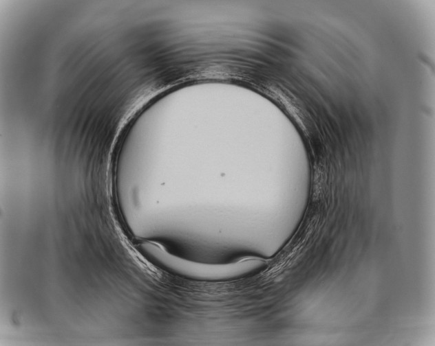 X0000096720795200803041401