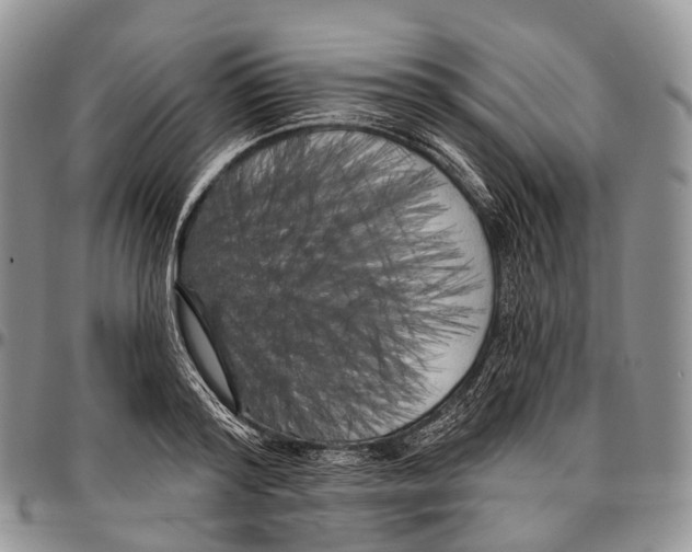 X0000096720796200803041401