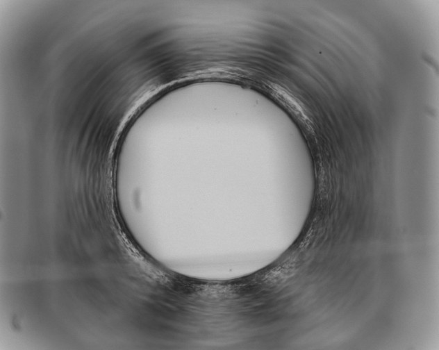 X0000096720800200803041401