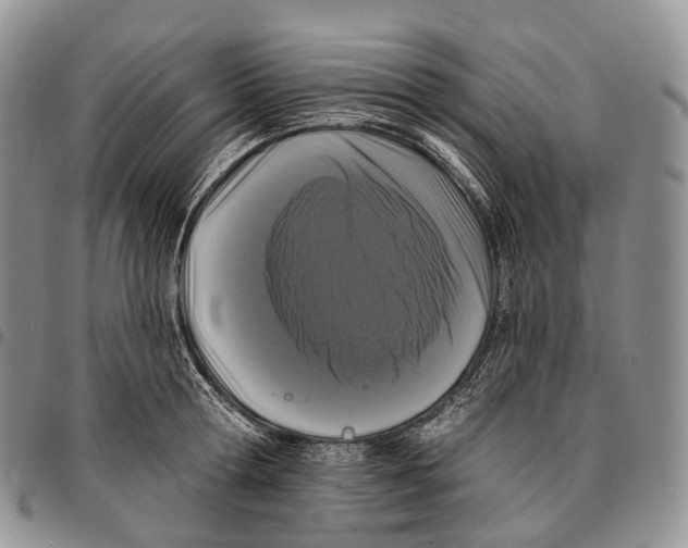 X0000096720802200803041401