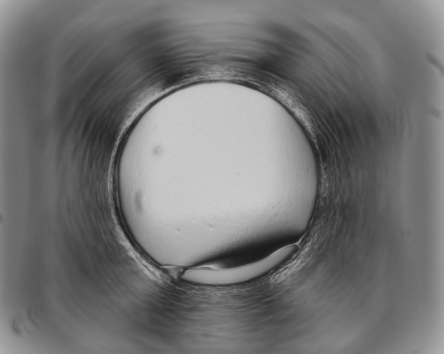 X0000096720803200803041400