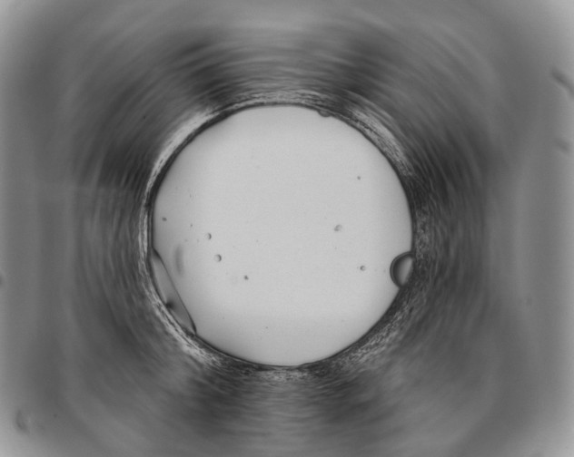 X0000096720804200803041400