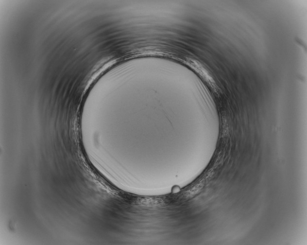 X0000096720806200803041400