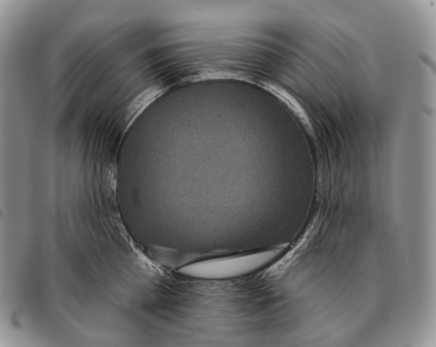 X0000096720809200803041400