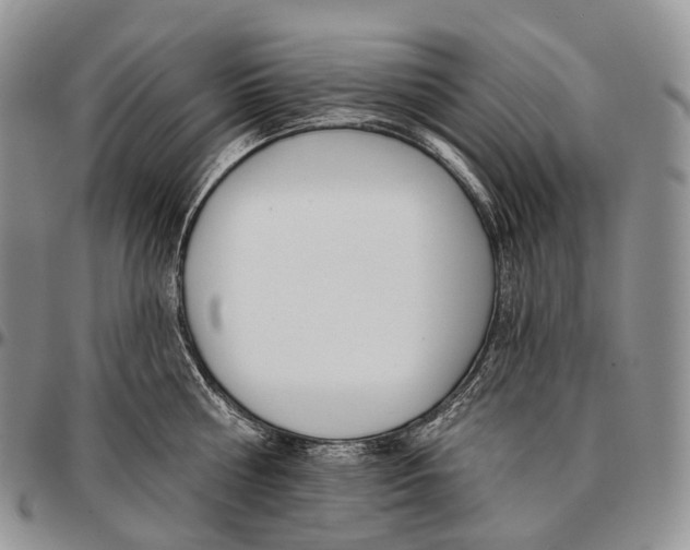 X0000096720810200803041400