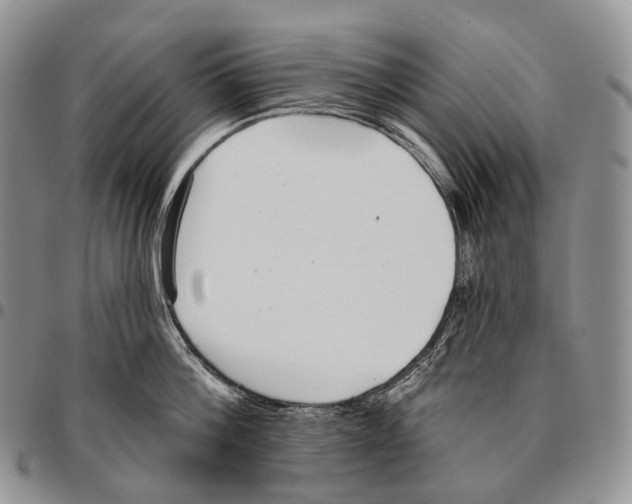 X0000096720812200803041400