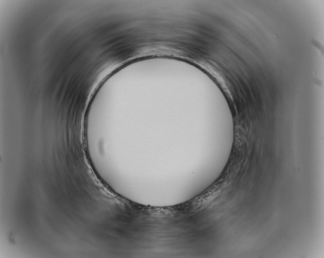 X0000096720815200803041400