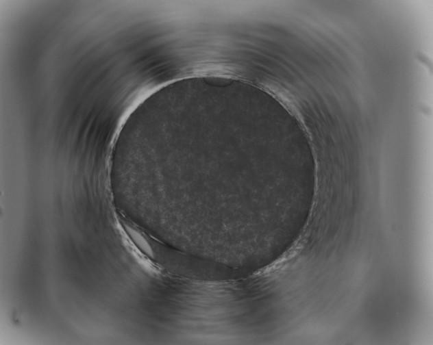 X0000096720816200803041400