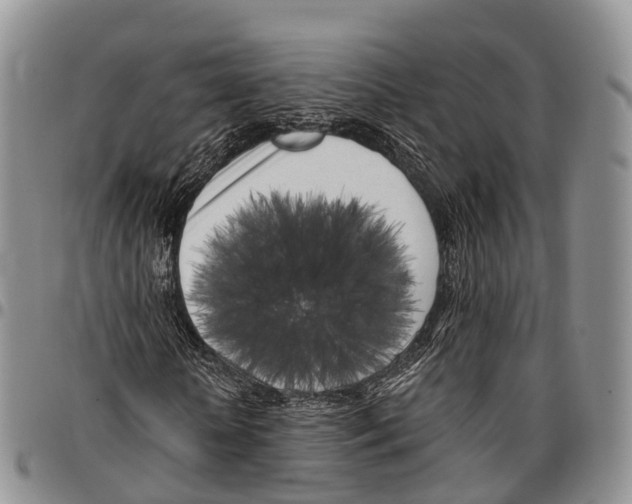 X0000096720818200803041400