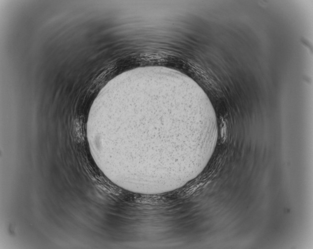 X0000096720819200803041400