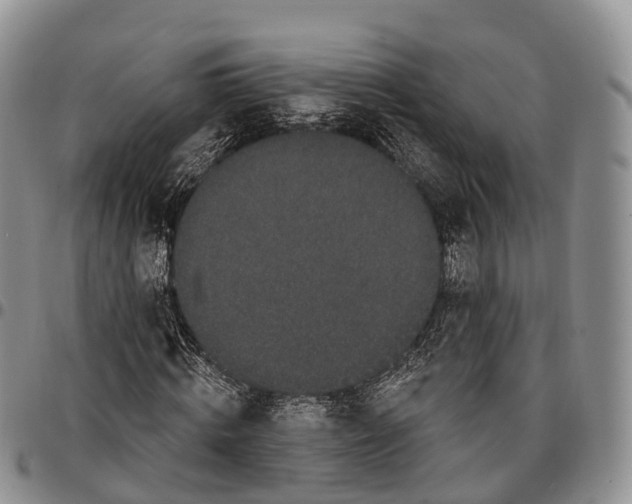 X0000096720820200803041400