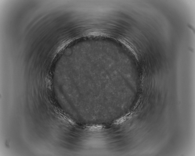 X0000096720823200803041400