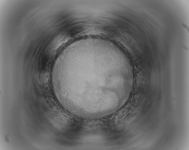 X0000096720824200803041400