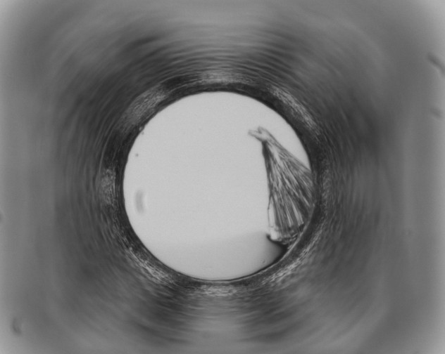 X0000096720825200803041400