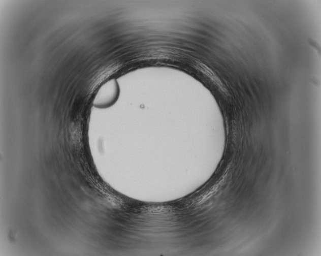 X0000096720826200803041400