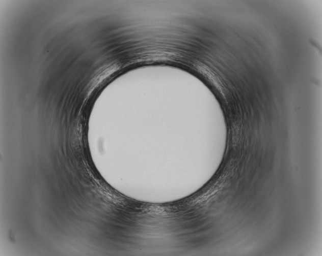 X0000096720827200803041400