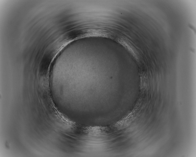 X0000096720828200803041400