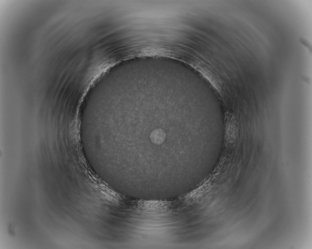 X0000096720832200803041400