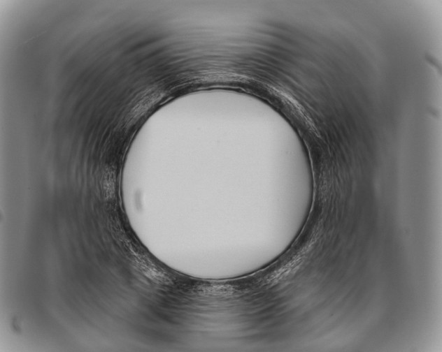 X0000096720833200803041400